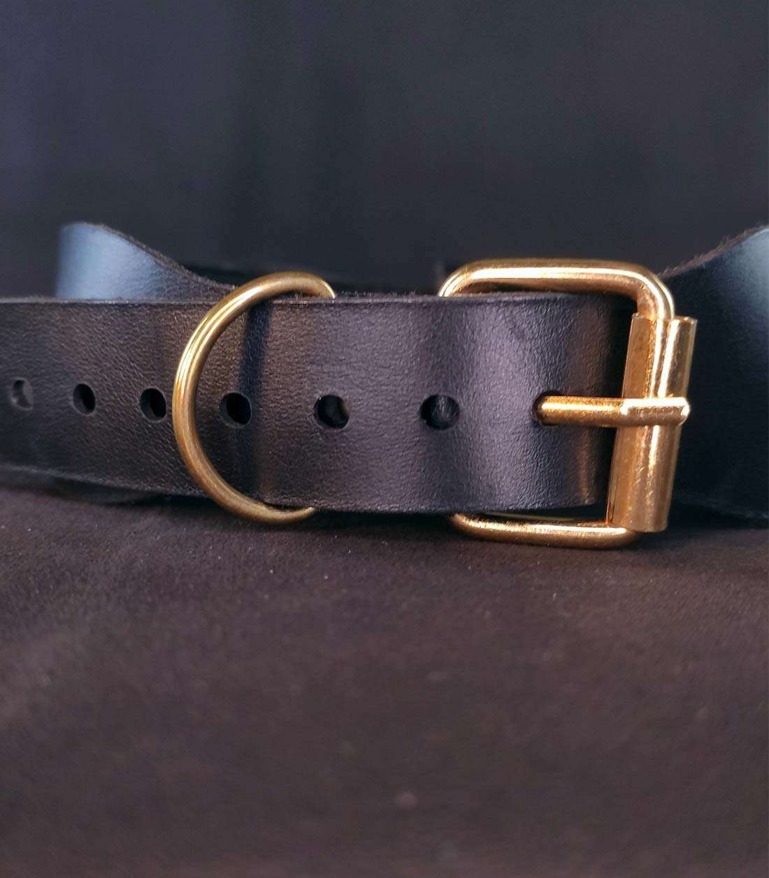 Dornschließe von schwarzem Bow Collar